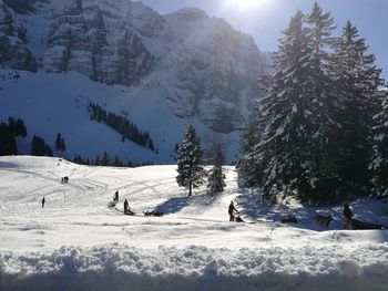 People skiing on snow covered mountain