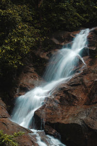 View of waterfall in forest