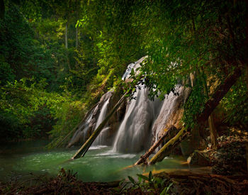 Scenic view of waterfall in forest