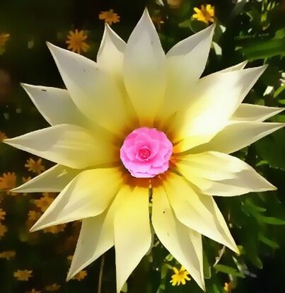 flower, petal, flower head, freshness, fragility, single flower, pollen, close-up, beauty in nature, growth, yellow, blooming, nature, stamen, plant, leaf, focus on foreground, day, no people, design