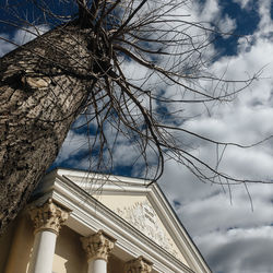 Low angle view of bare tree against building