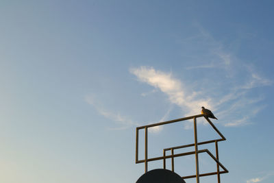 Low angle view of bird perching on railing against sky
