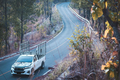 High angle view of cars on road in forest