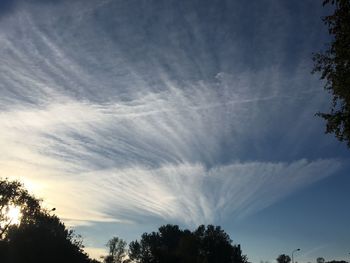 Low angle view of silhouette trees against sky