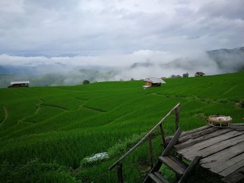 Scenic view of agricultural field against sky