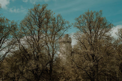 Low angle view of trees and buildings against sky