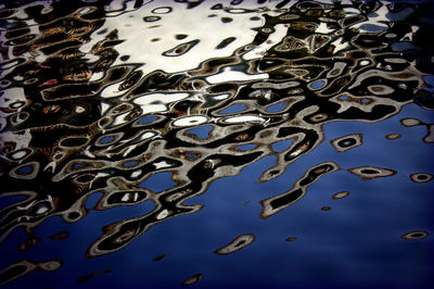 Full frame shot of fishes swimming in water