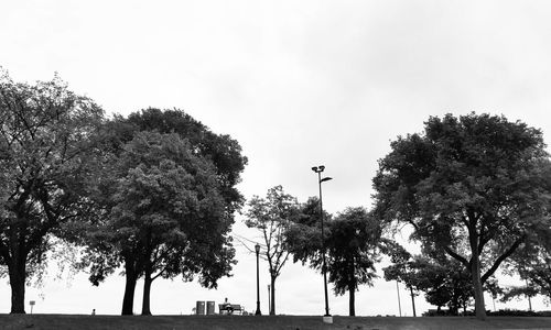 Trees in park against clear sky