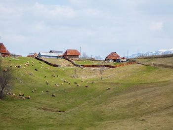 Houses on field against sky