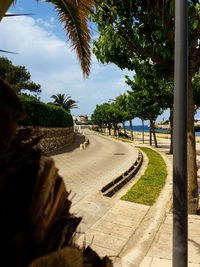 View of palm trees against sky