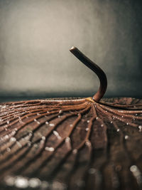 Close-up of wet wood