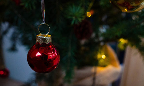 Close-up of illuminated christmas tree at night