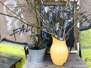 Close-up of potted plant against trees