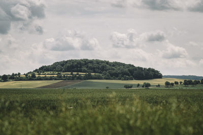 Scenic view of farm against sky