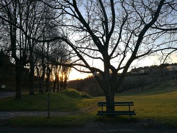 Bare trees in park against sky