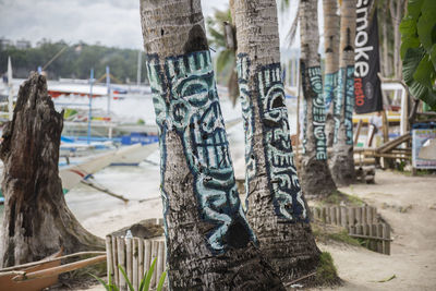 Close-up of tree trunk