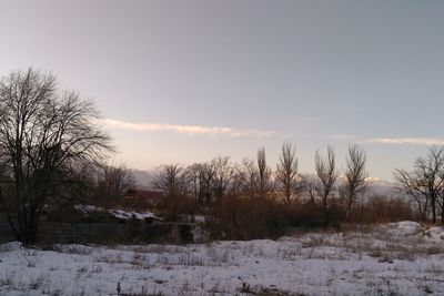 Trees on snow covered field against sky during sunset