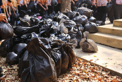 Heap of garbage bags on street in city