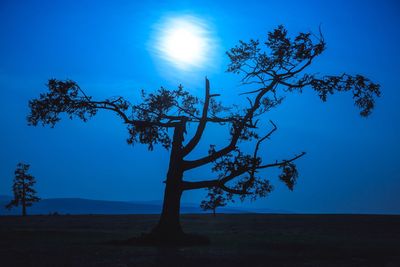 Silhouette tree on field against blue sky