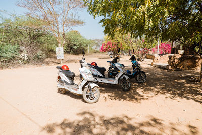 People riding bicycle on road