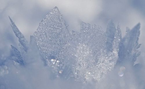 Full frame shot of bubbles on window