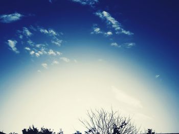 Low angle view of silhouette trees against blue sky