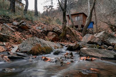 River stream amidst rocks in forest