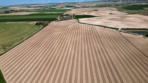 High angle view of agricultural field