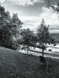 Empty bench in park