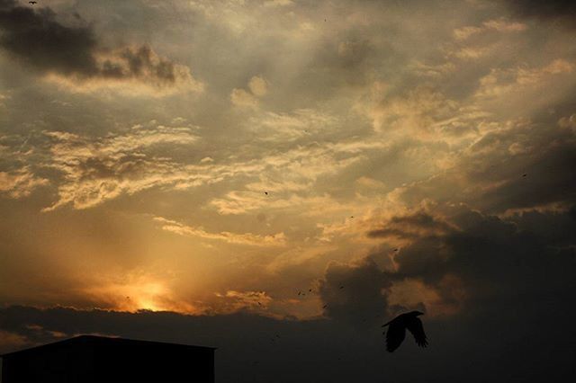 low angle view, sky, cloud - sky, silhouette, sunset, cloudy, cloud, flying, beauty in nature, nature, built structure, building exterior, scenics, architecture, weather, outdoors, high section, dramatic sky, orange color, no people