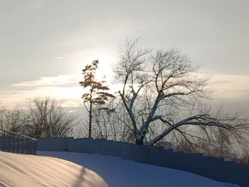 winter