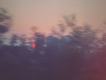 Trees against sky during sunset