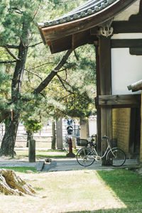 Bicycle by tree against building