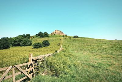 Scenic view of landscape against clear sky