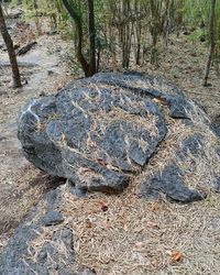 High angle view of rocks on field