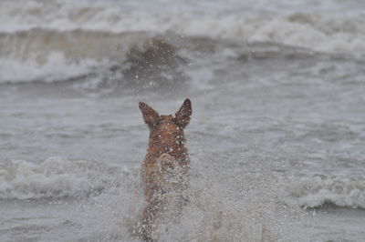 Sea shore against sky