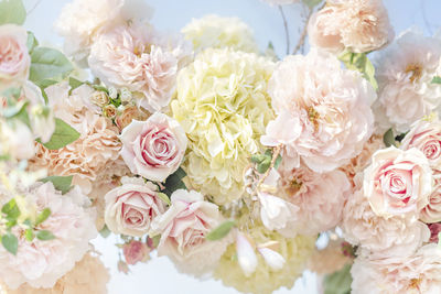 Close-up of rose bouquet