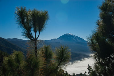 Scenic view of trees and mountains against blue sky