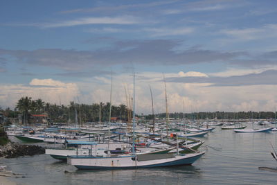 Sailboats moored in marina