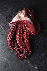 High angle closeup of fresh octopus tentacles with red suckers placed on dark table