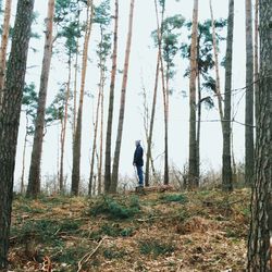 People walking in forest