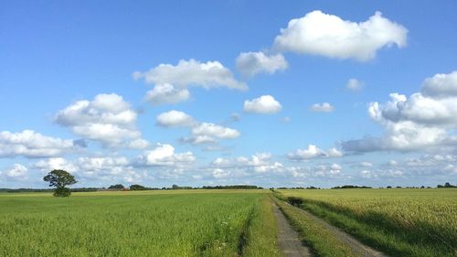 Scenic view of field against cloudy sky