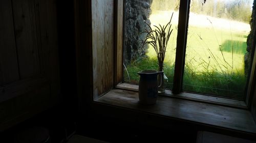 Plants on window sill at home