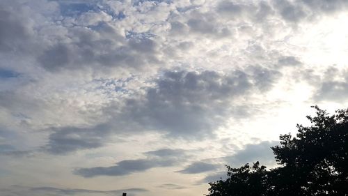 Low angle view of silhouette trees against sky