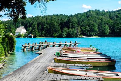 Scenic view of lake against trees