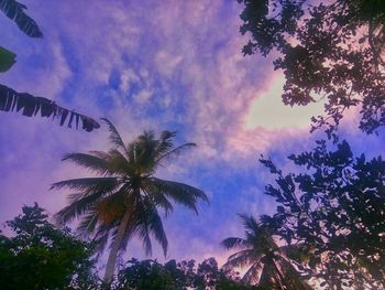 Low angle view of silhouette palm trees against sky