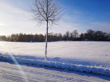 Bare trees on snow covered field against sky