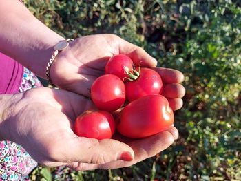 Close-up of hand holding strawberries