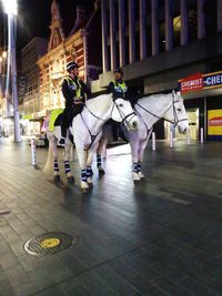 View of horse in town square at night