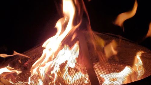 Close-up of bonfire at night